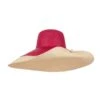 Farrah Straw Hat Red -Lady Style Wear FarrahstrawhatredwithpinHIGHWEB